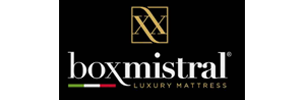 logo boxmistral