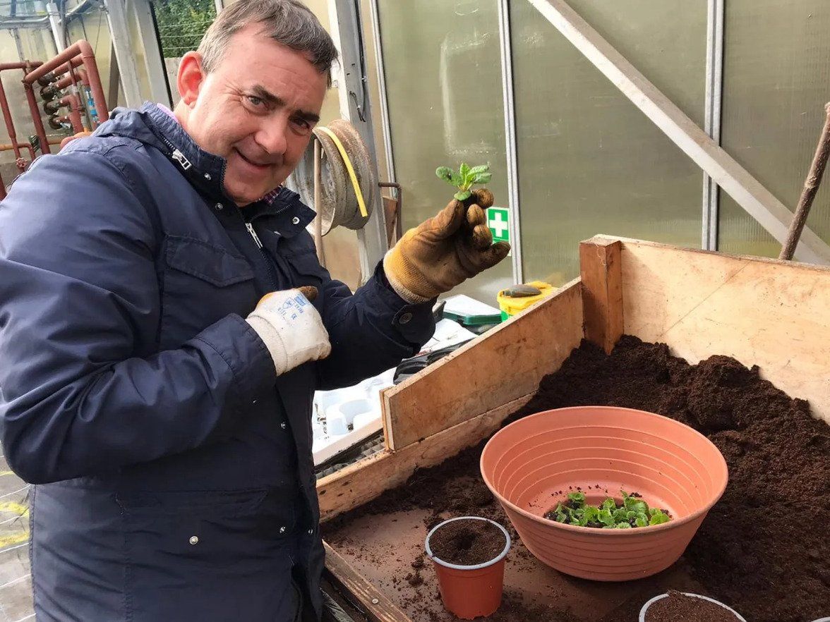 Man in blue jacket standing next to a wooden soil bed and holding up a plant in one hand