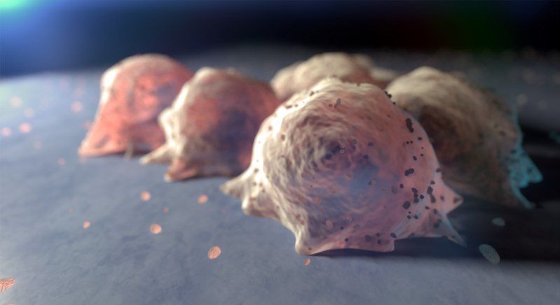 Photo Of Stem Cell  — Marietta, GA — Atlanta Osteoarthritis Center LLC