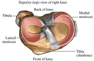 Superior Top View of Right Knee — Marietta, GA — Atlanta Osteoarthritis Center LLC