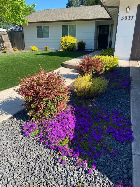 A white house with purple flowers in front of it
