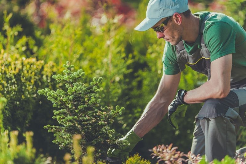 Sustainable Landscaping in California