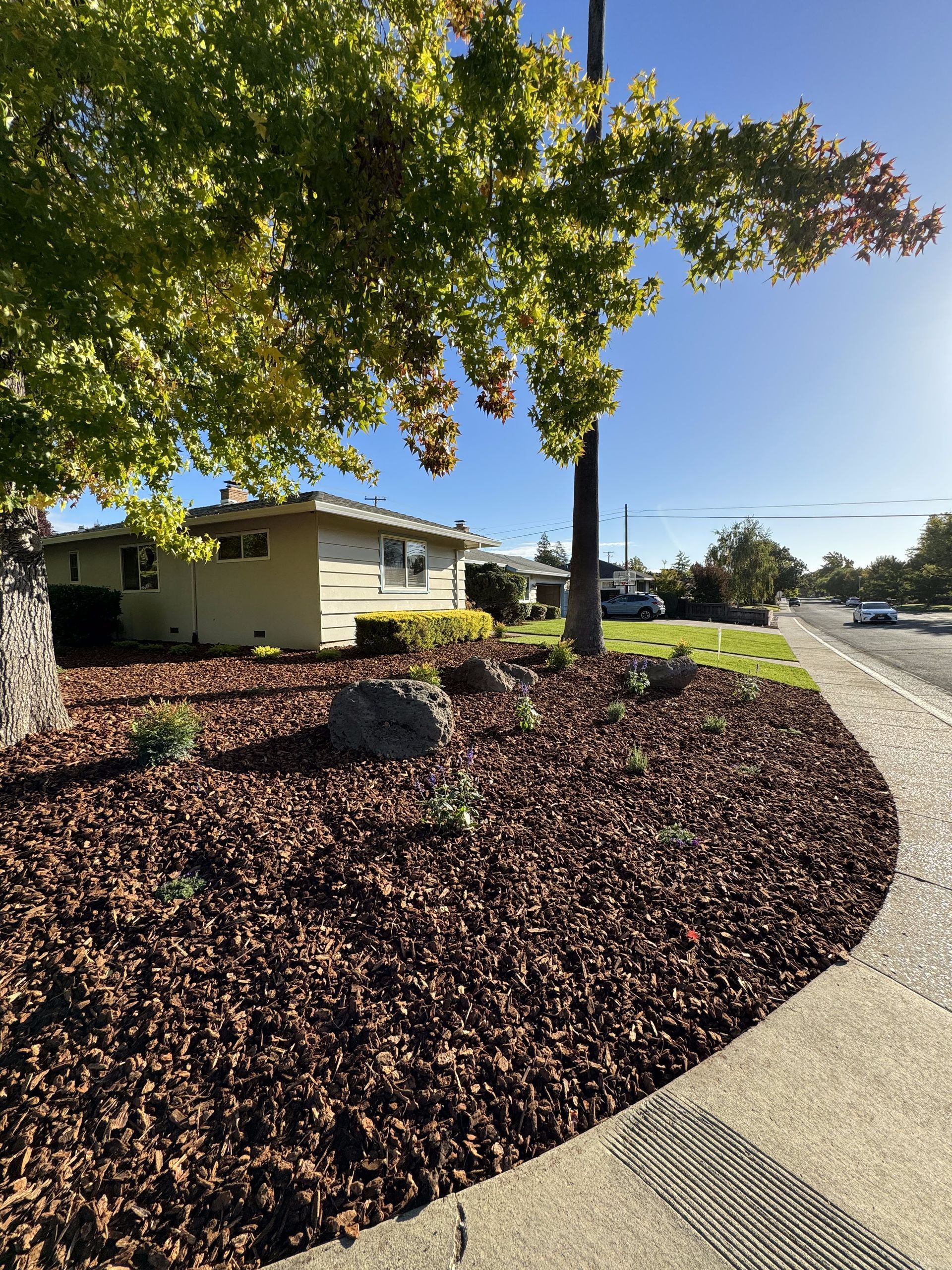 A house with a lot of mulch in front of it