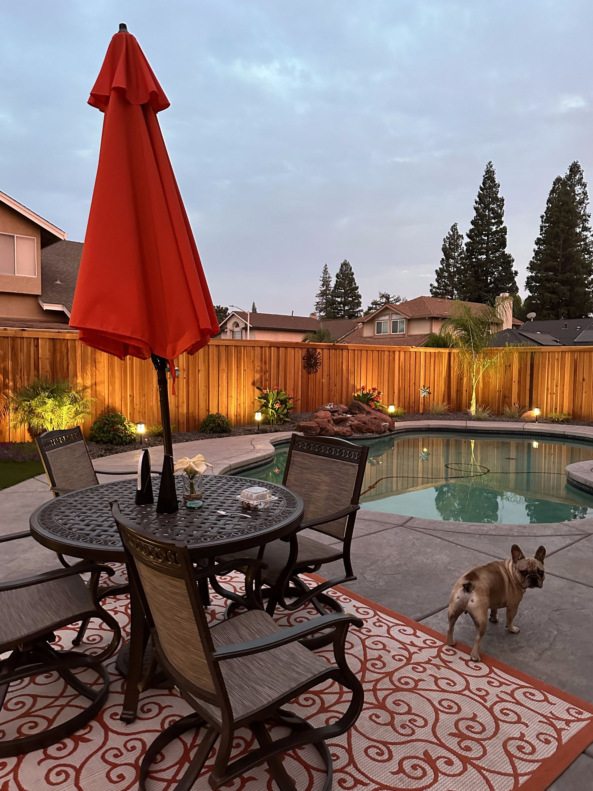 A dog is standing next to a table and chairs next to a pool.