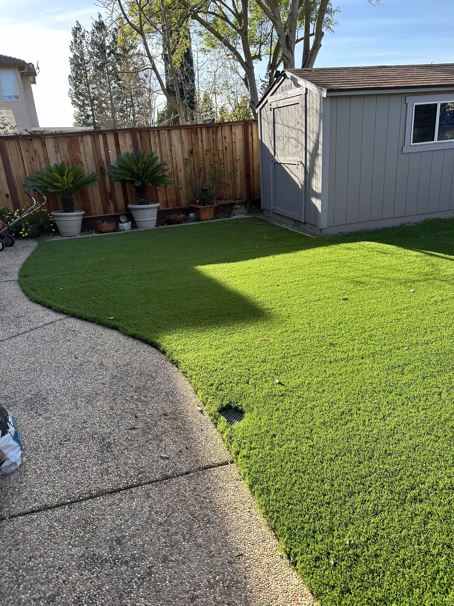 A backyard with a shed and a lush green lawn.