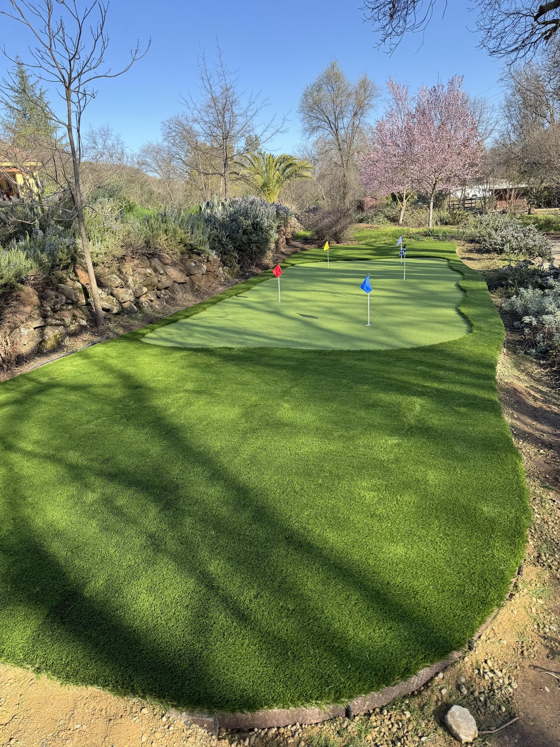 A putting green in a backyard surrounded by trees and bushes.