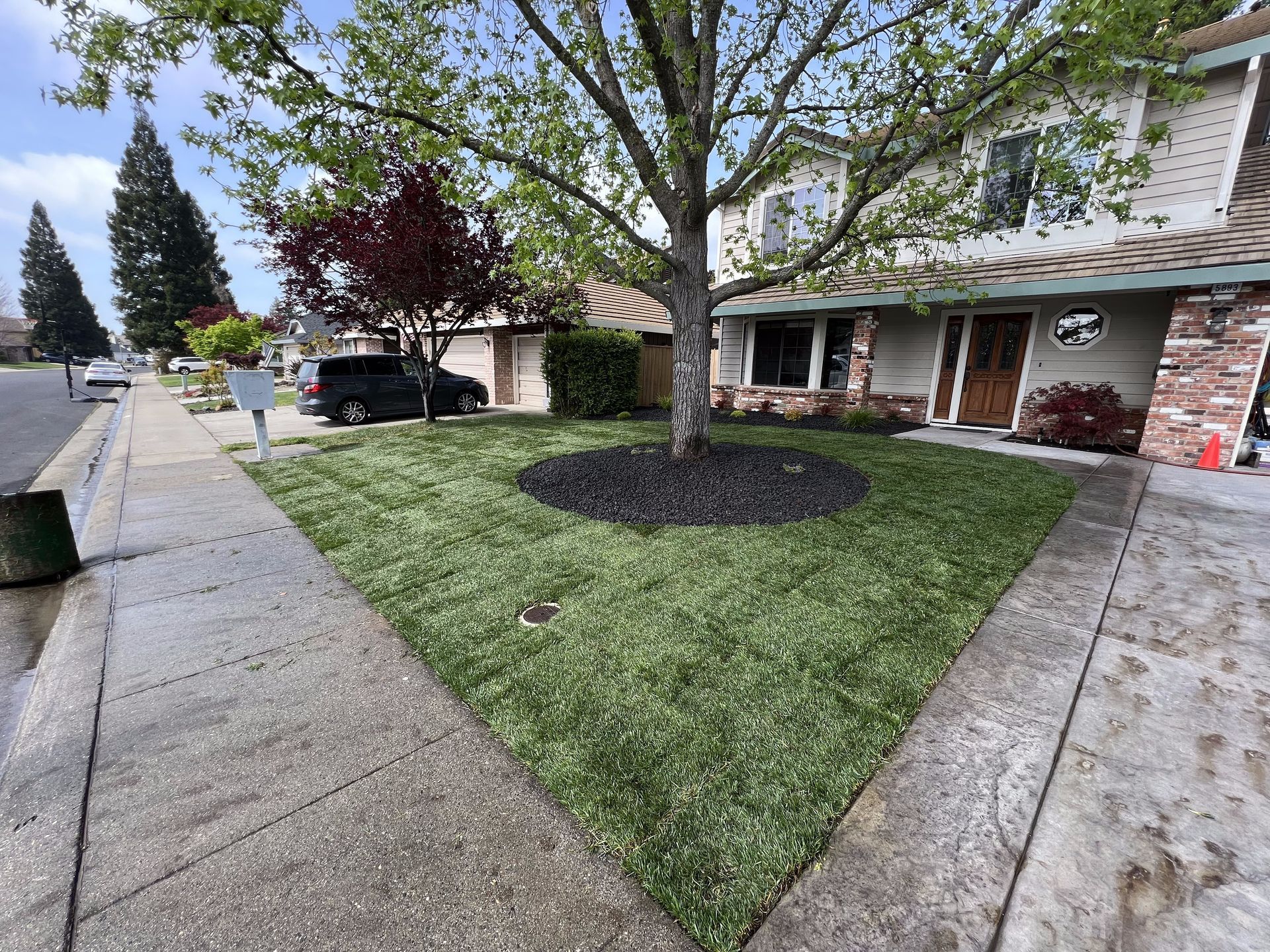 A house with a lush green lawn and a tree in front of it.