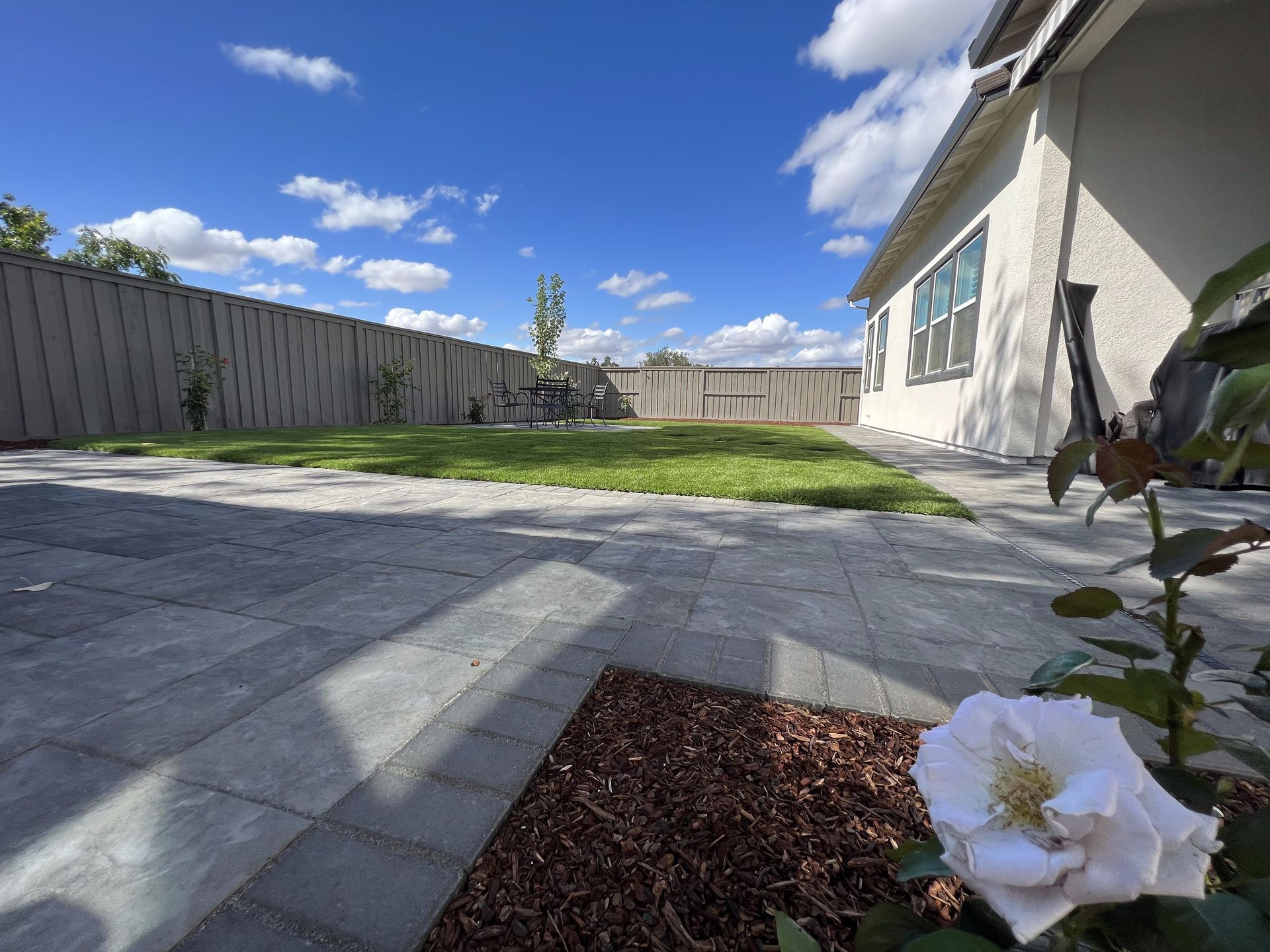 A white flower is in the foreground of a patio in front of a house.