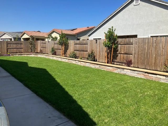 green backyard grass in front of a wooden fence