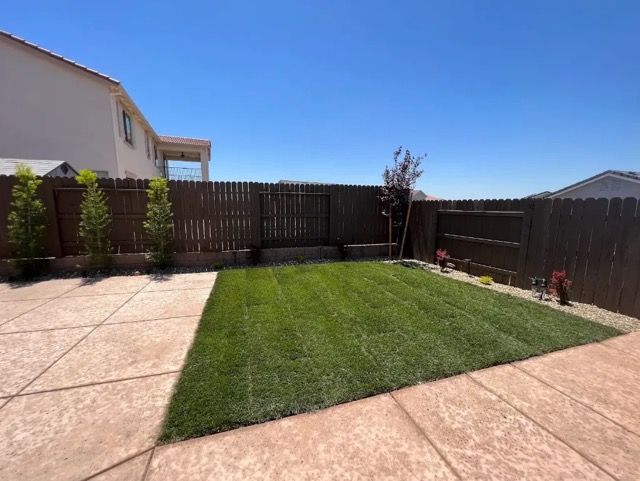 a small patch of green grass