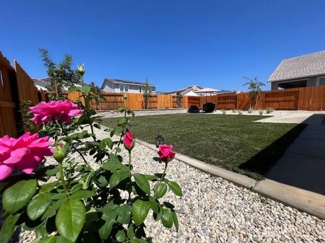pink roses next to newly installed sod