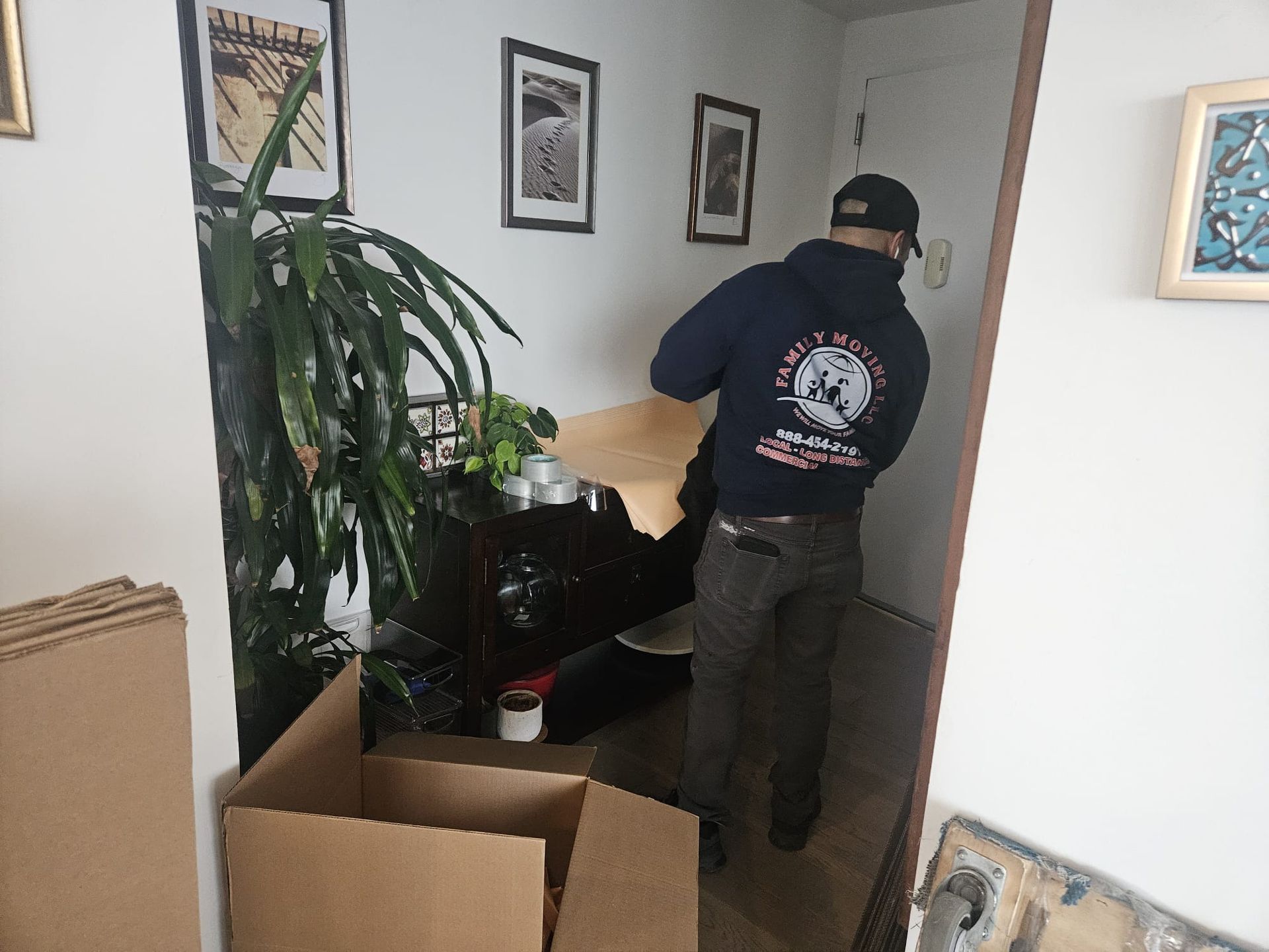 A man in a blue shirt is standing in a room with boxes and a plant.
