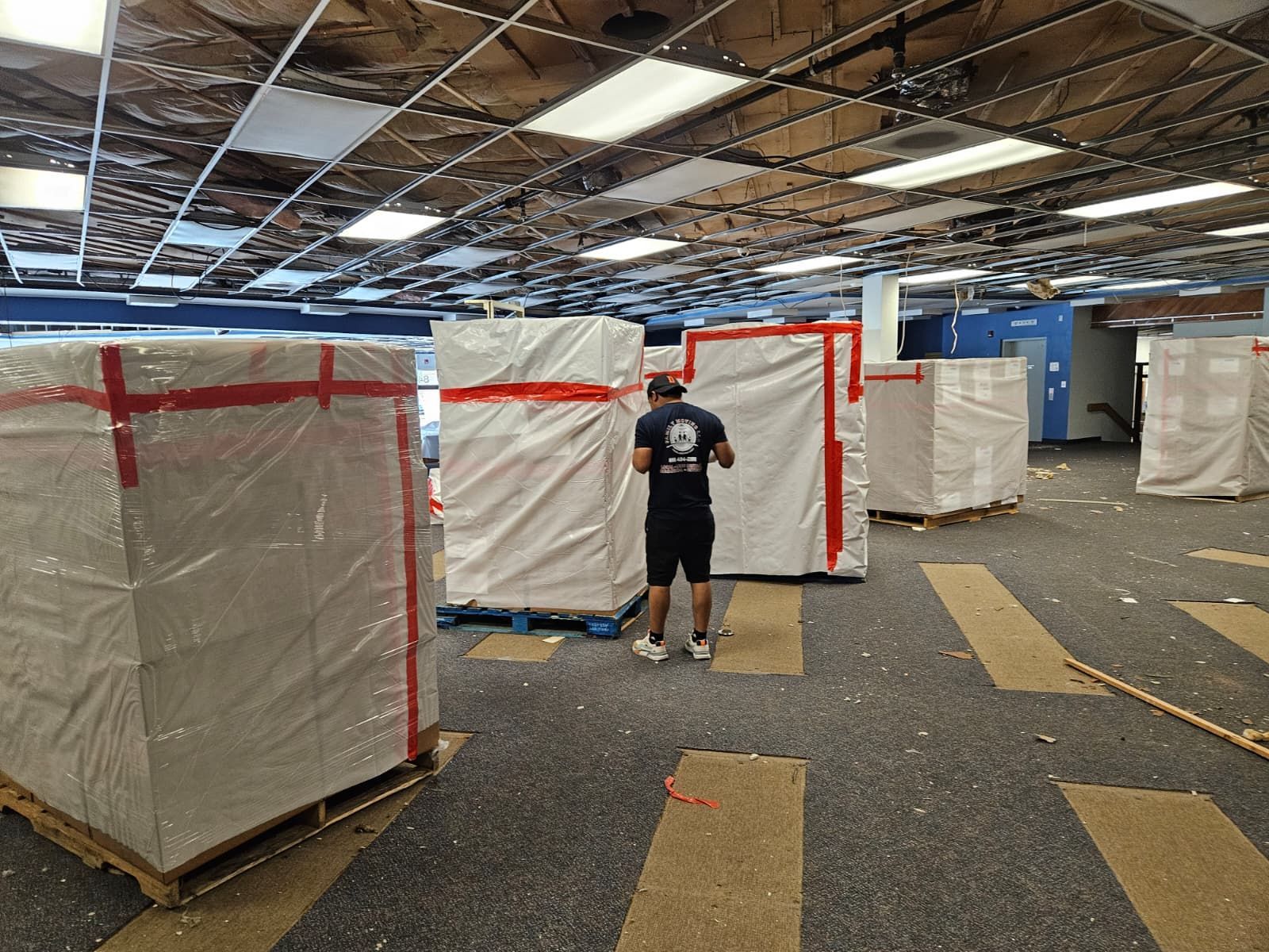 A person is holding a clear plastic box filled with papers and a plant.