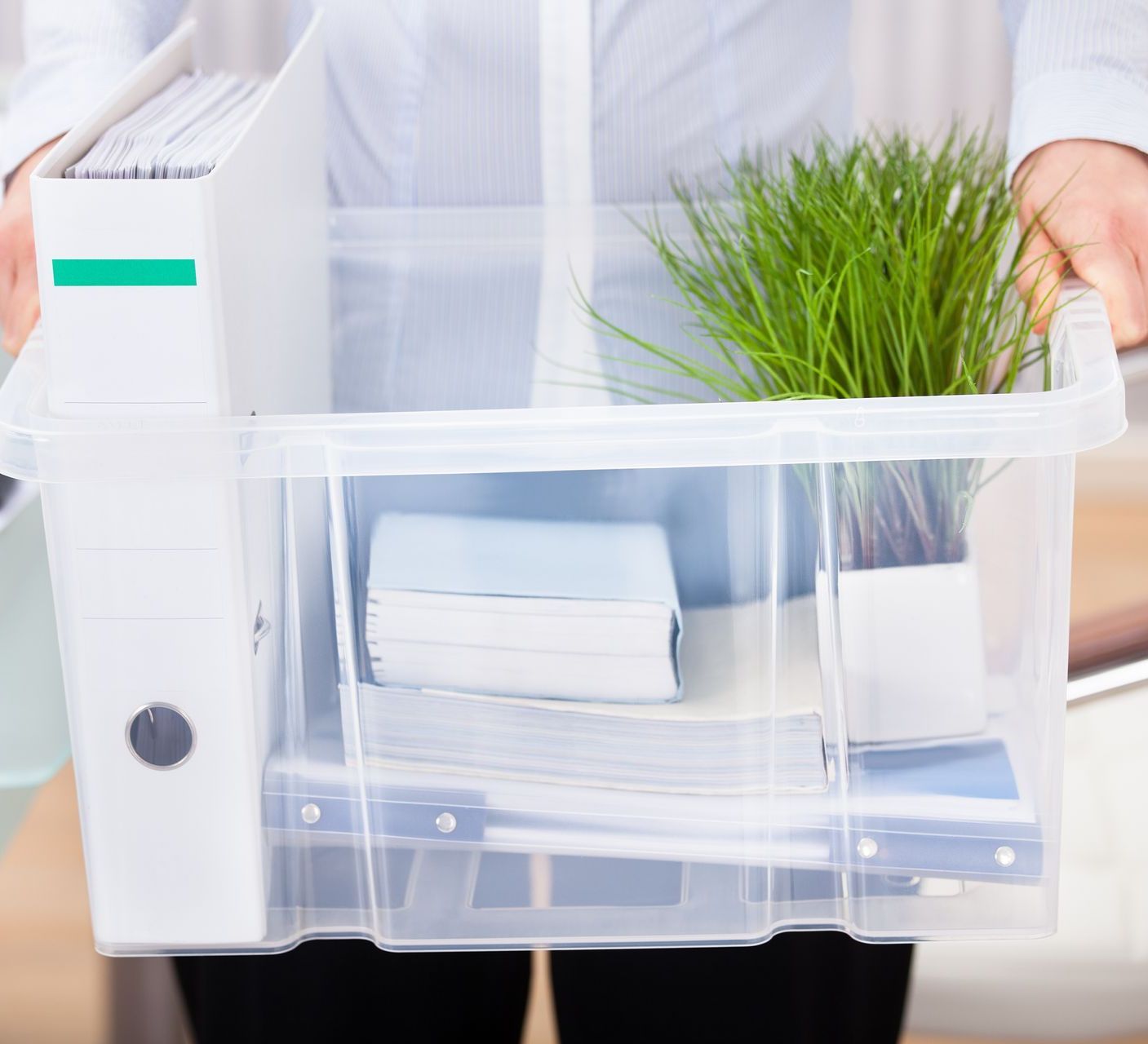 A person is holding a clear plastic box with a plant in it.