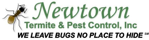 Pest Control Company, Central Florida, Pest Control Acquisitions, Pest Control Buyout Opportunities, Pest Control Strategic Growth, Expansion Plans, Pest Control Mergers, Local Market Dominance, Pest Control Acquisition Targets, Business Development, Central Florida Expansion, Termite & Pest Control, Strategic Partnerships, Acquisitions, Florida, Free Consultation, Sell My Pest Control Company, Looking to Sell My Pest Control, Buy My Pest Control Company, Newtown Pest Control, Sell My Pest Control Business in Florida, Selling My Pest Control Business in Orlando