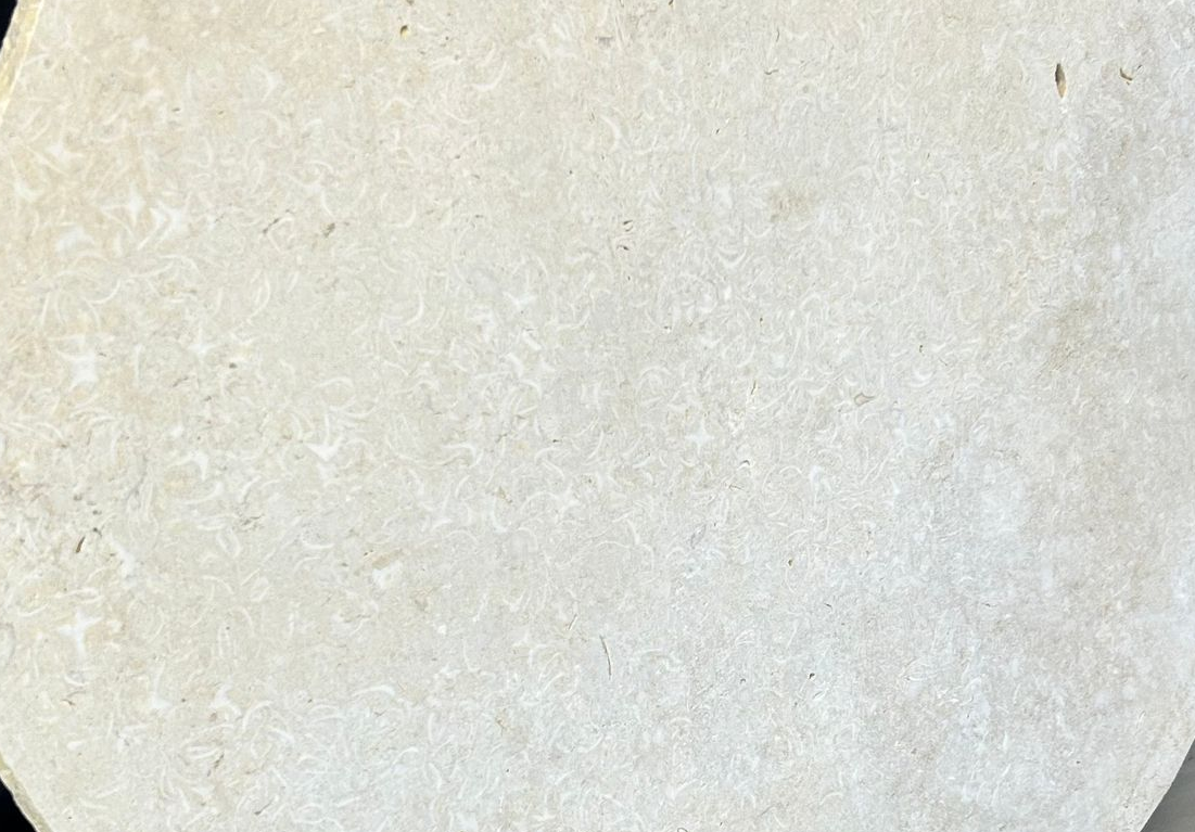 Buried Sand Stepping Stone - Cream