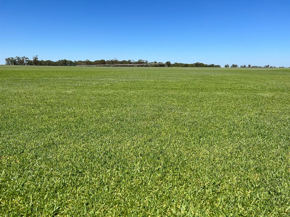 Landscaping Adelaide Products - Instant Turf/Lawn