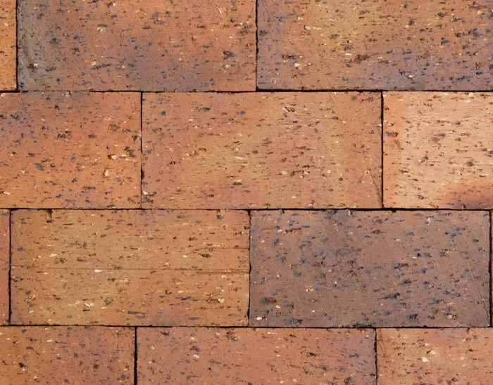 Hills Gold - Autumn Beauty