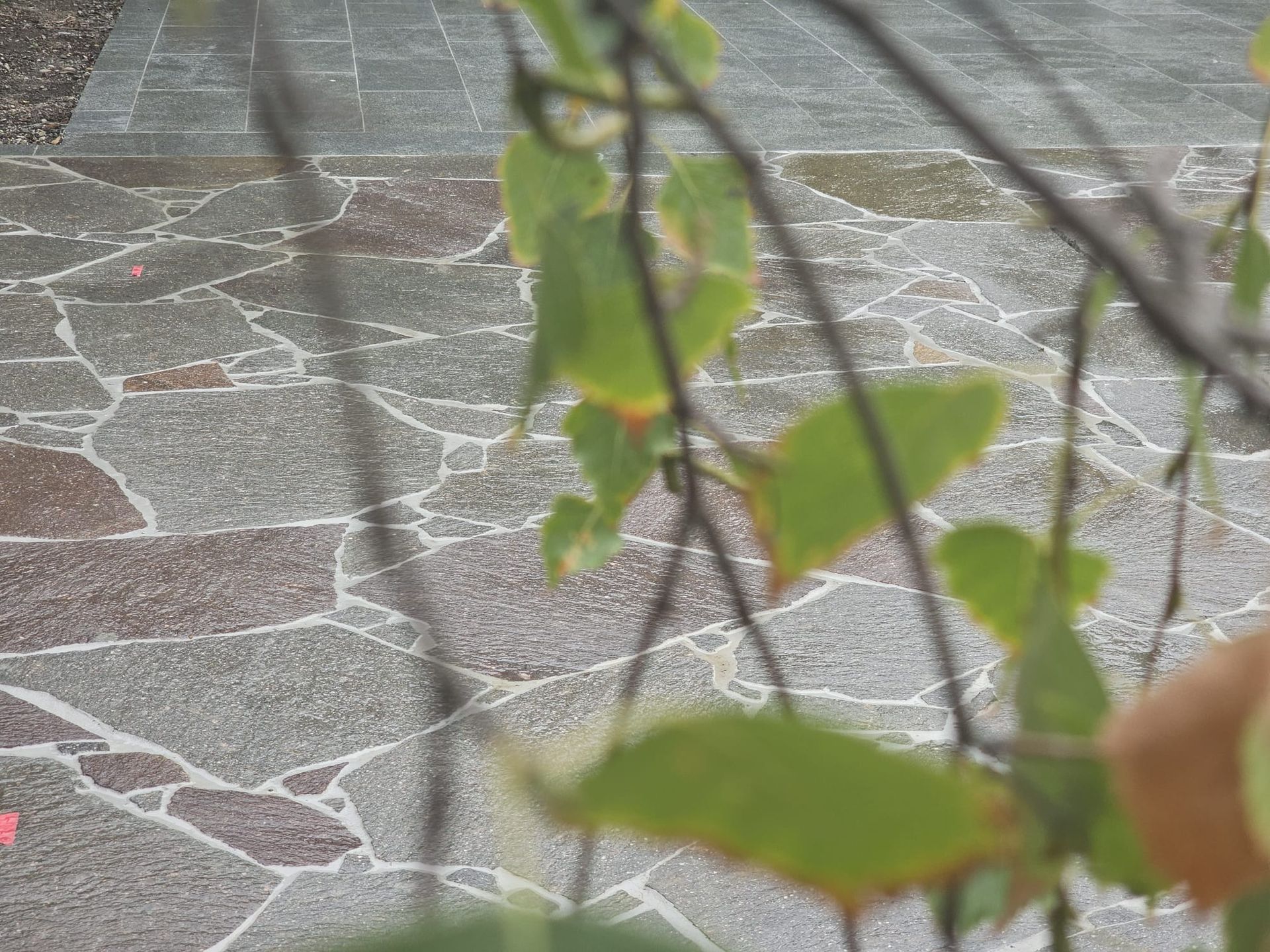 Crazy Paving - Petrichor