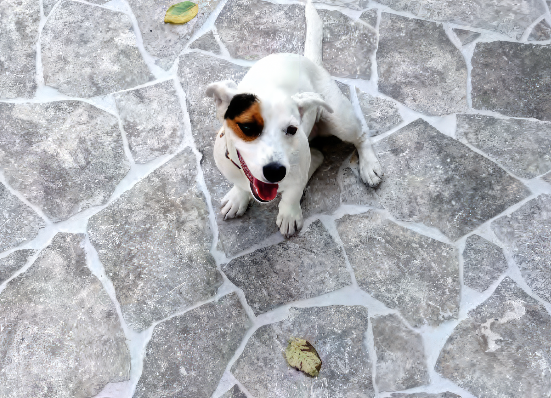 Crazy Paving - Nimbus Gallery 02