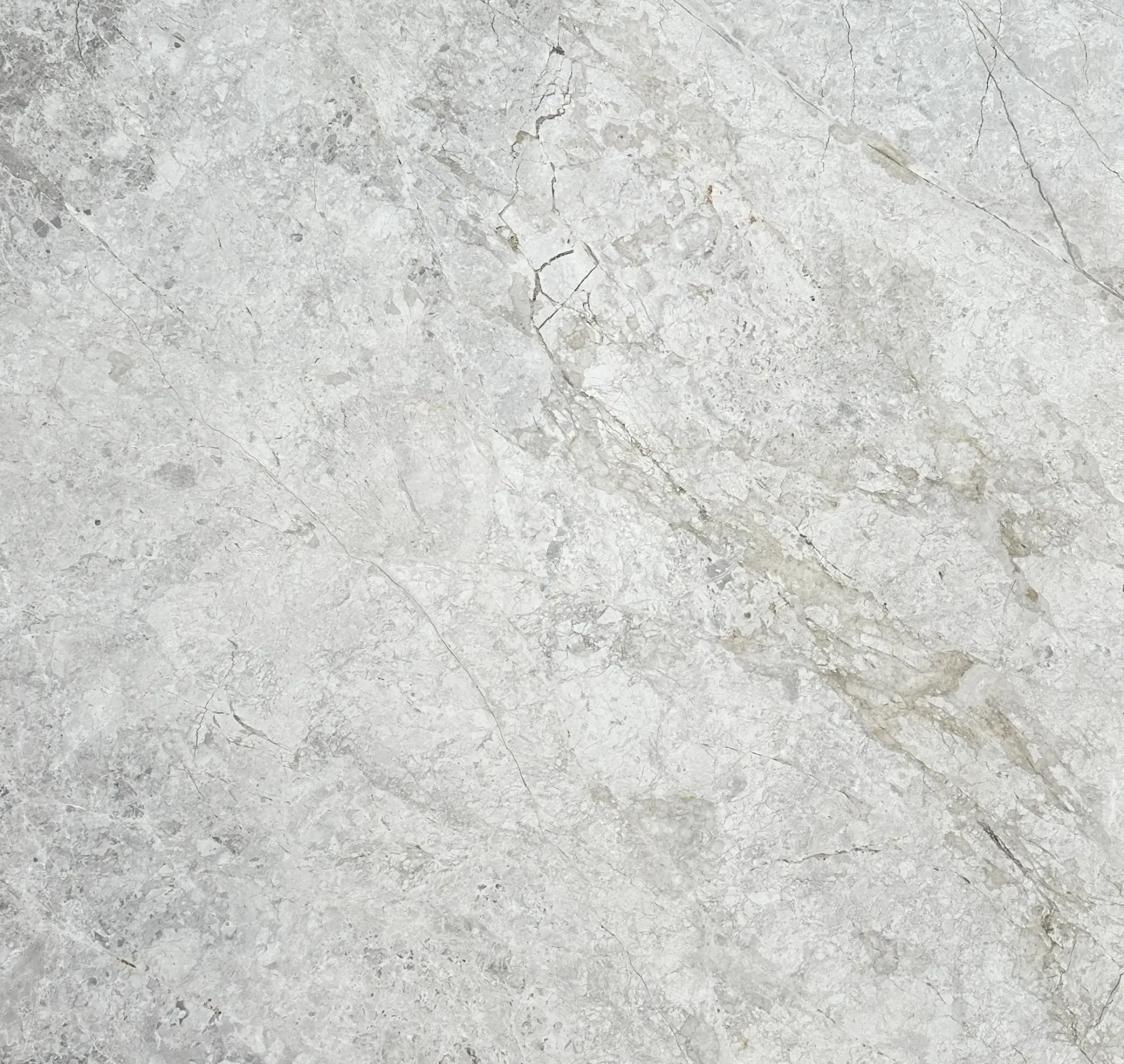 Platinum (Honed) - Light Grey