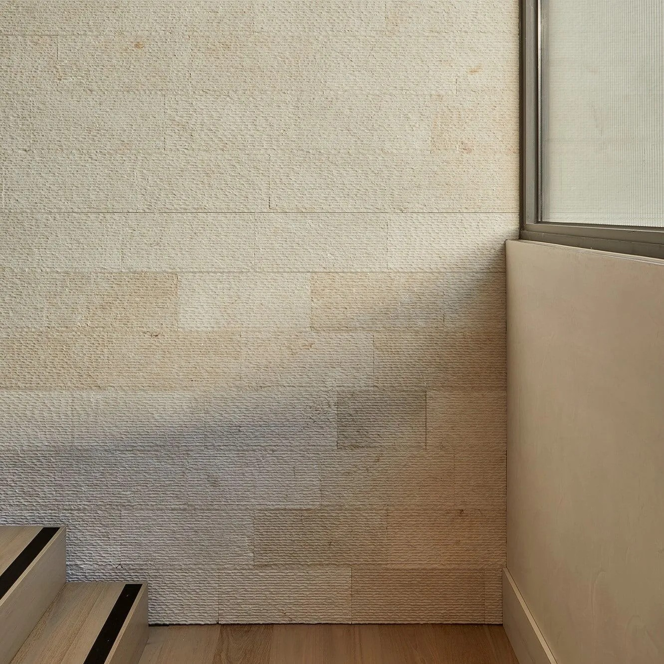 Saguaro - Truely Eye-Catching