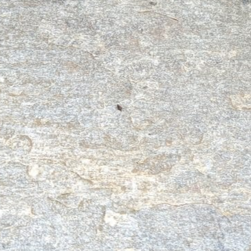 Flash Quartz Stepping Stone - Quartz