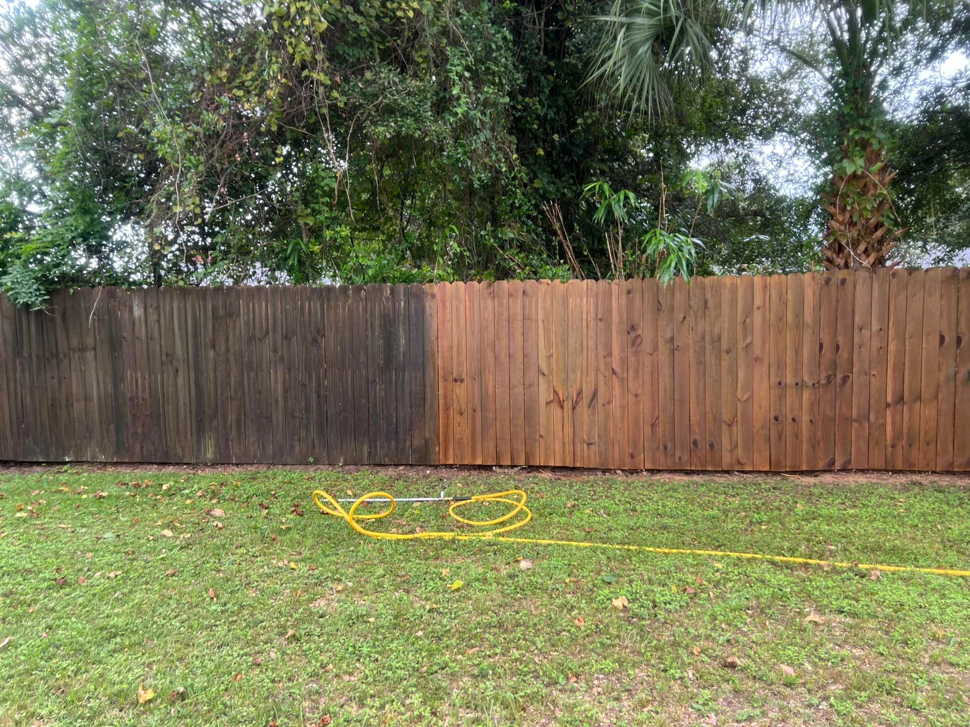 A wooden fence is being cleaned in a backyard with a yellow hose.