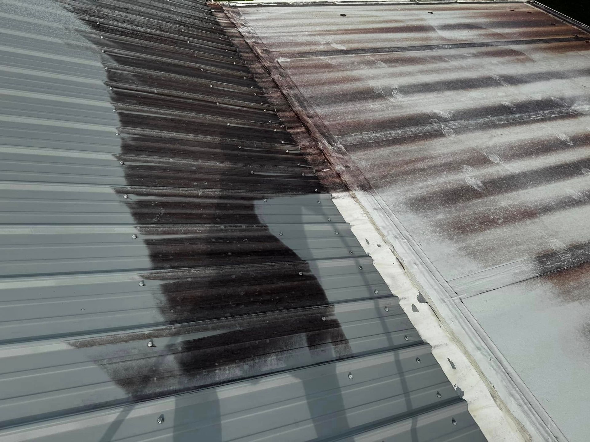 A close-up of a roof partially cleaned