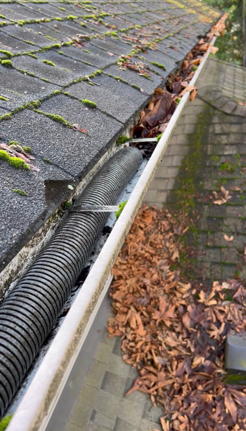 A gutter filled with leaves and moss on a roof.