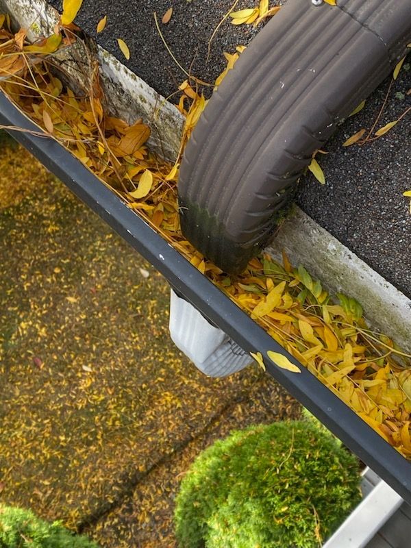 A gutter filled with leaves is being cleaned by a vacuum cleaner.