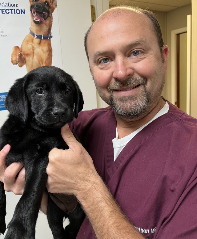 About Us Terry, MS Byram Animal Hospital