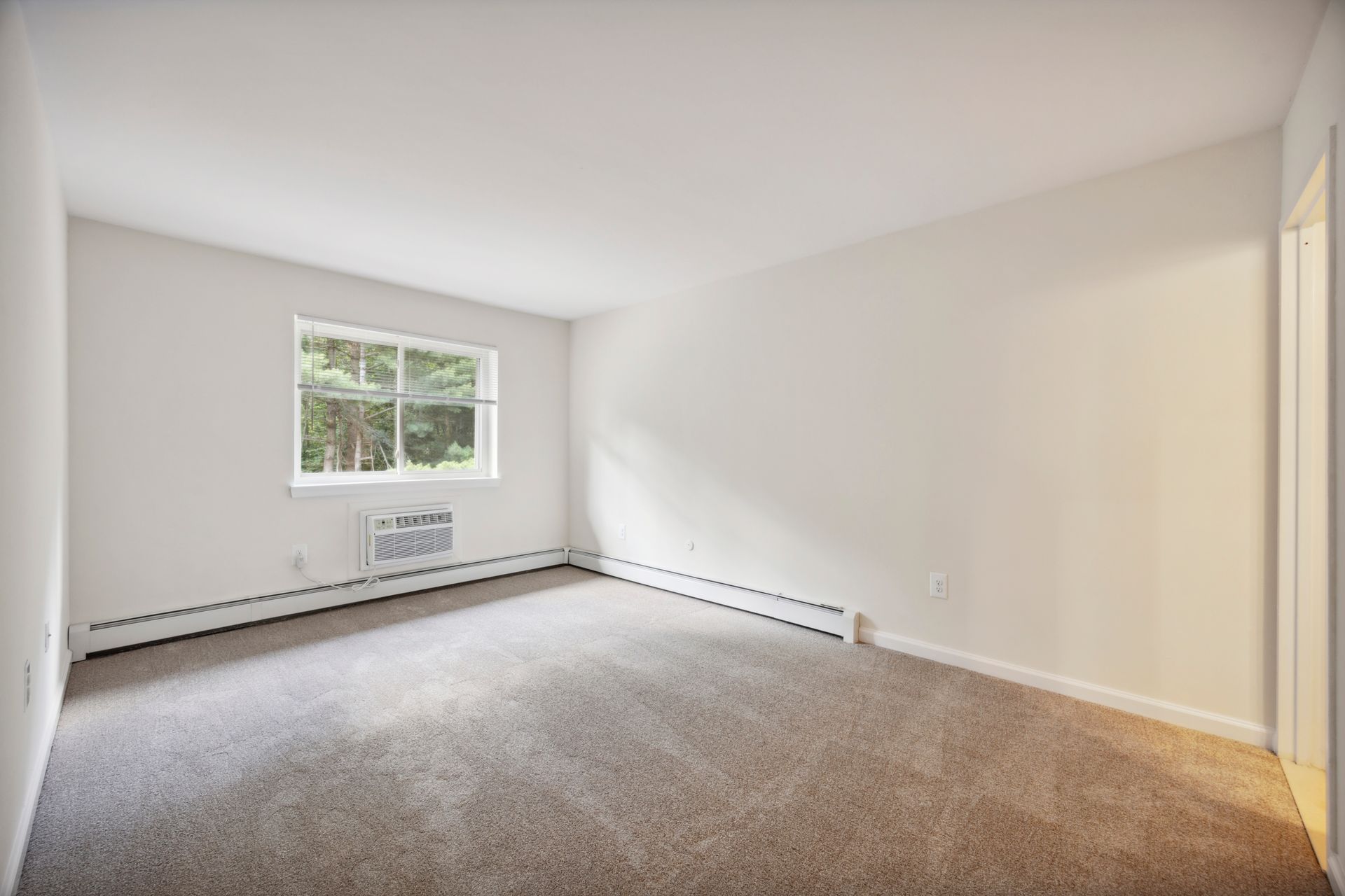 Empty room with beige carpet, white walls, window with forest view, and baseboard heater.