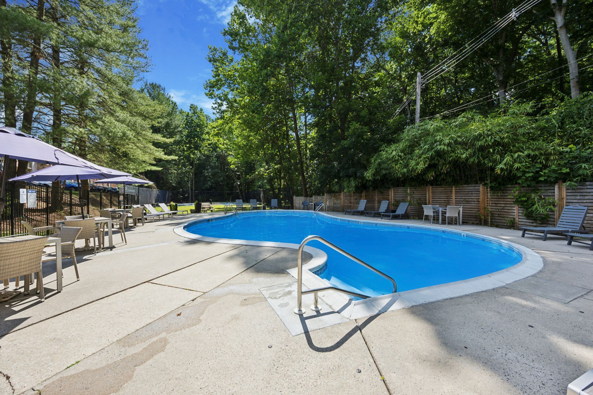 Pool with blue water surrounded by concrete, lounge chairs, and umbrellas. Green trees in the background.