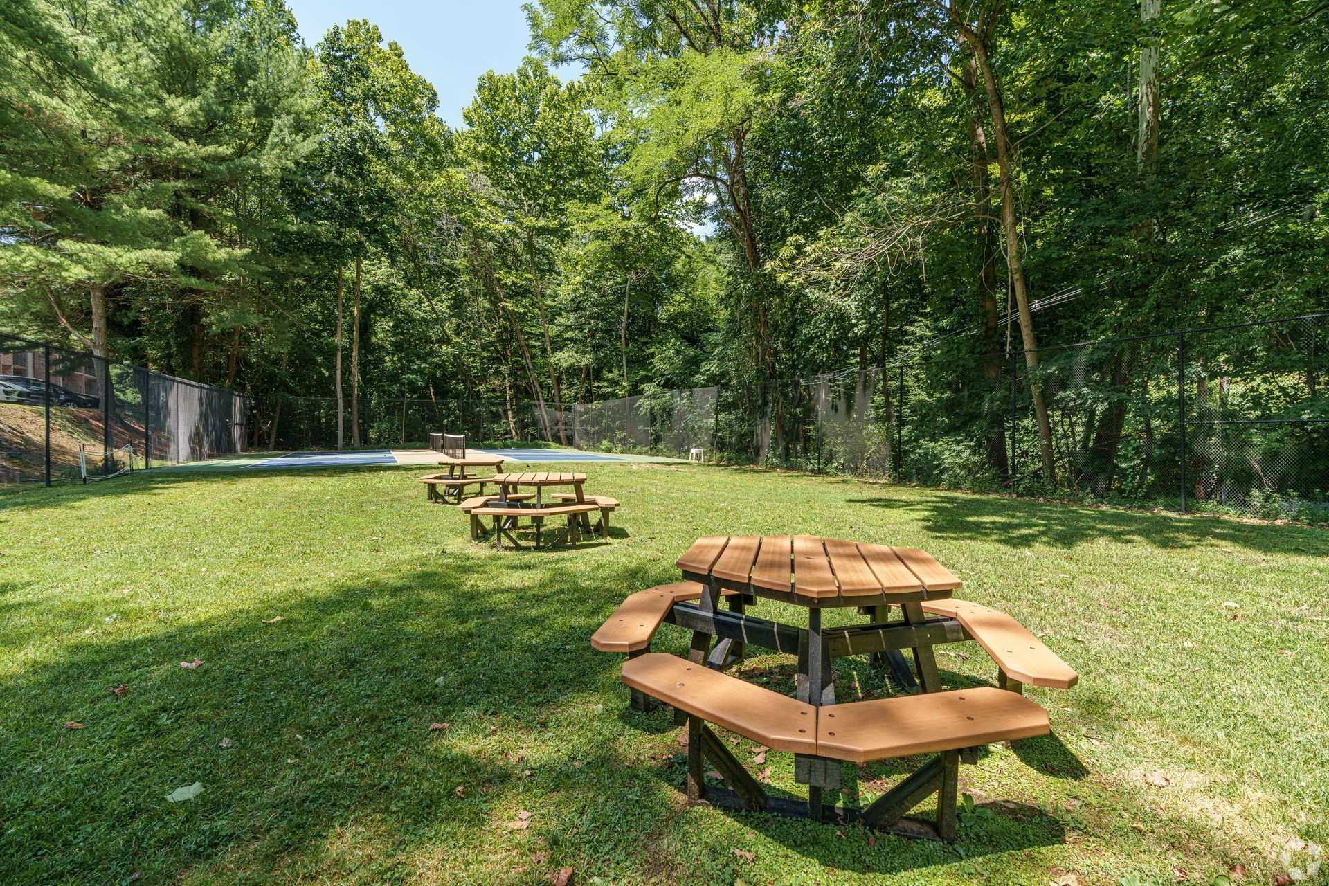 Picnic tables on grassy lawn near trees and fence.
