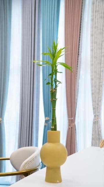 Green Bamboo Stalk in a Yellow Vase on a White Table — U Curtains in Acacia Ridge, QLD