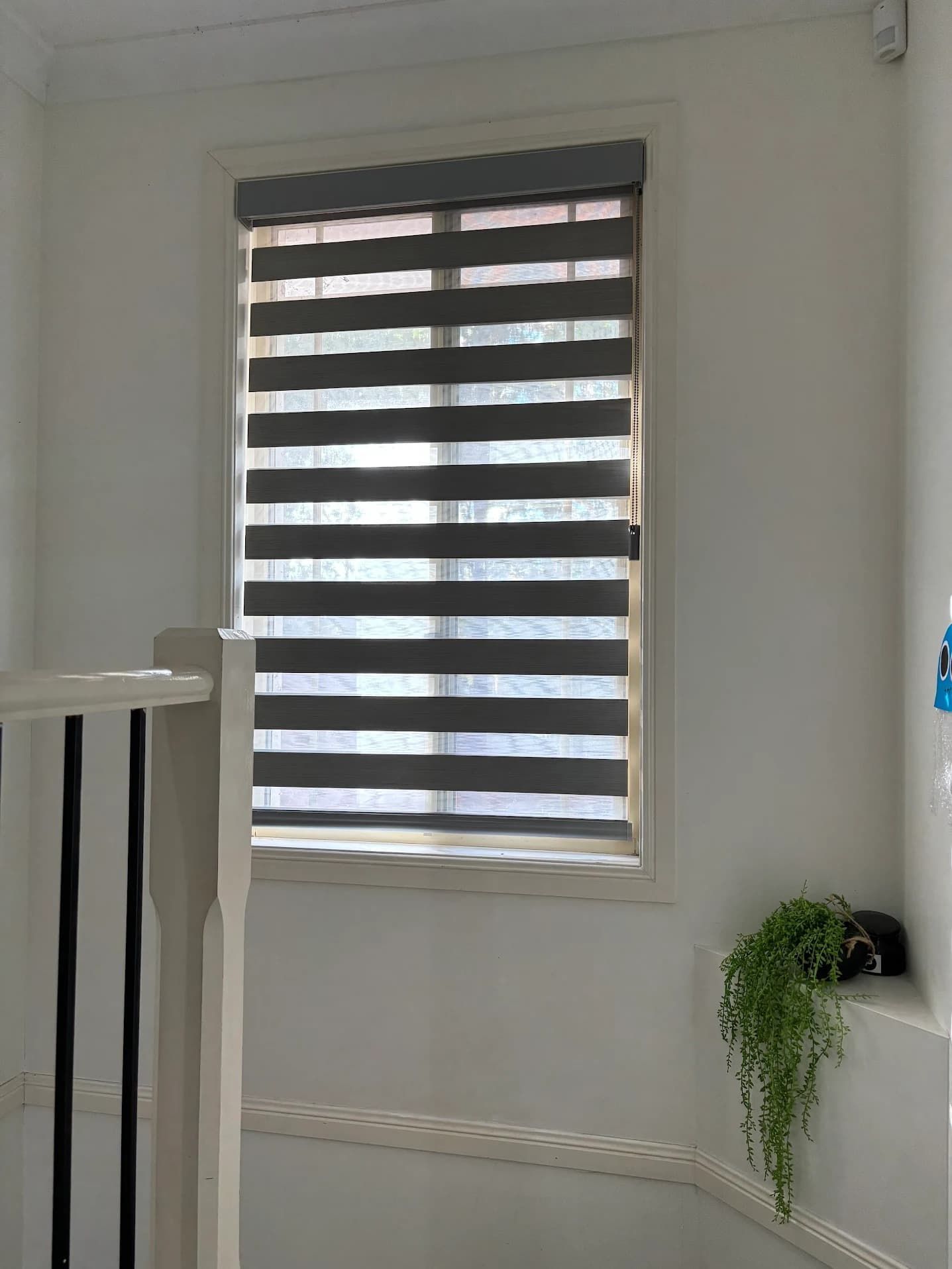 Window with Zebra Blinds Casting Stripes of Light and Shadow — U Curtains in Acacia Ridge, QLD