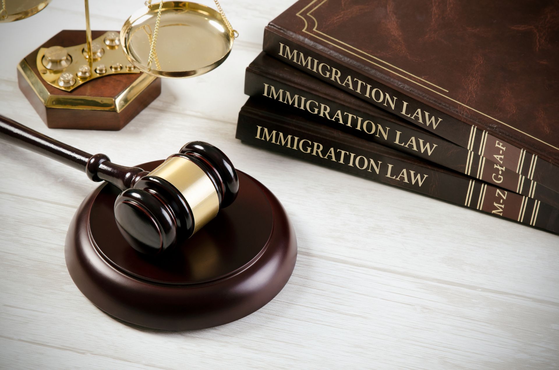 Immigration law book featuring a judge's gavel for legal reference and guidance.
