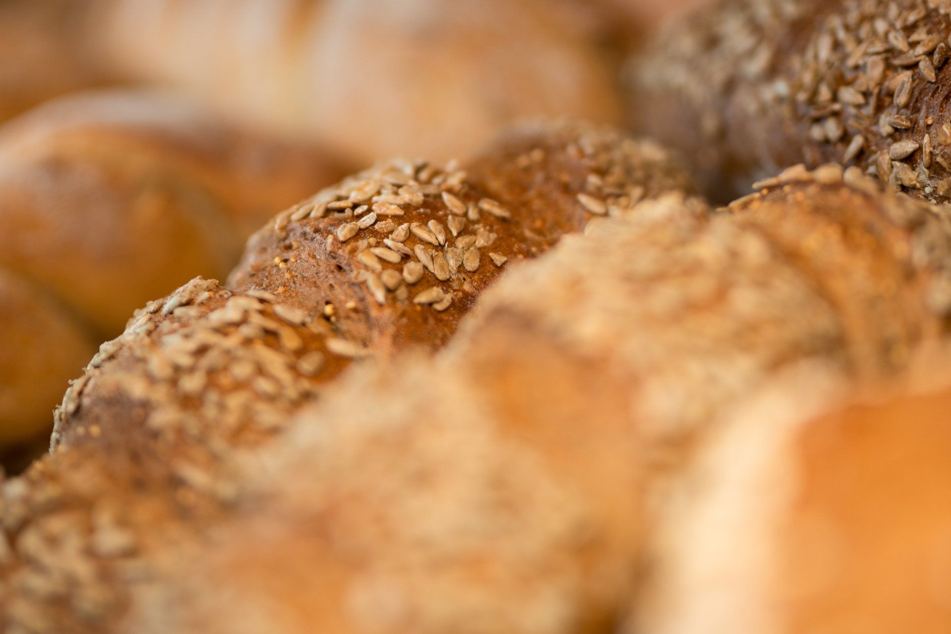 Traditionsbäckerei Hauser, Angebot, Brot, Gebäck