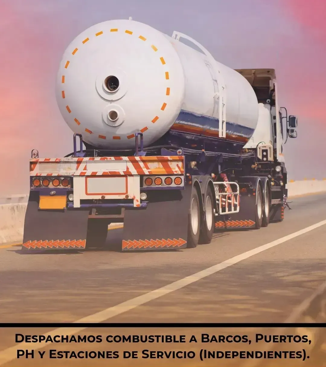 TRIGAS - surtidor de combustible