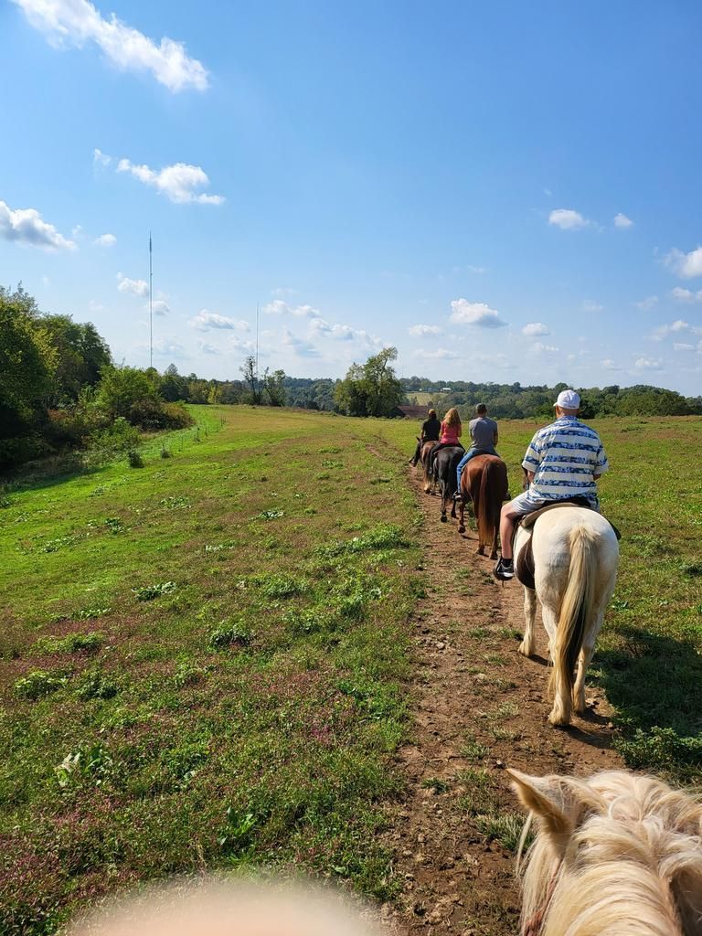 A group of people are riding horses down a dirt path in a field.