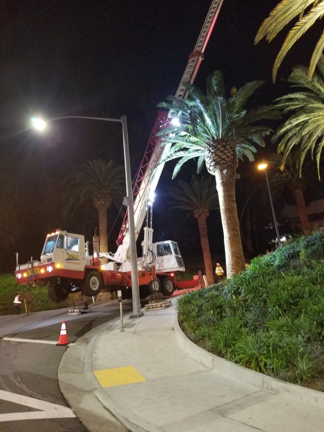 A crane works on a palm tree at night - San Diego, CA - Best Crane Service Inc.