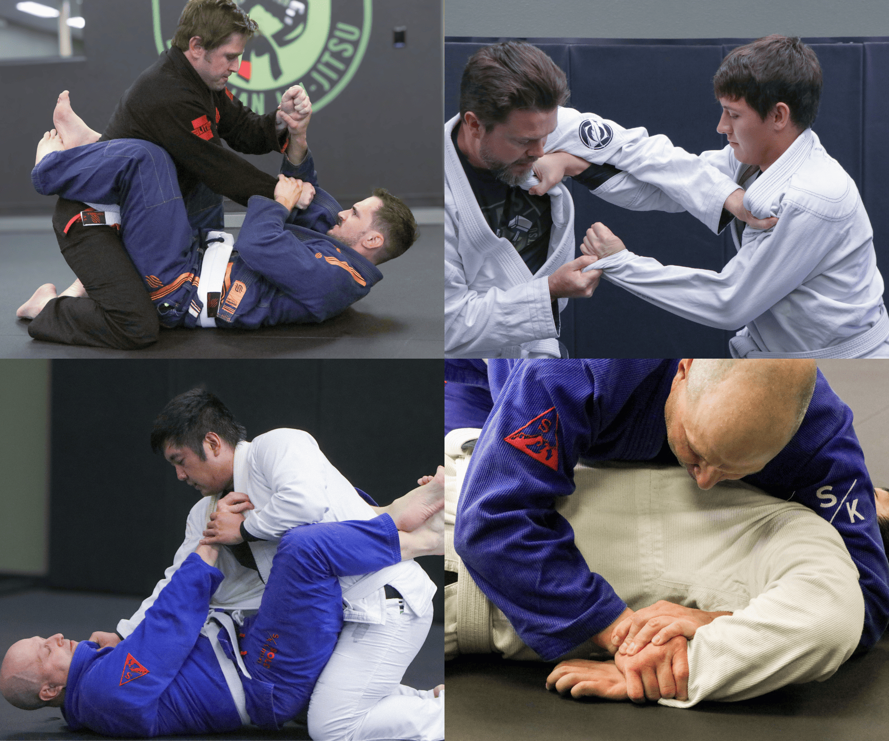 Adult BJJ