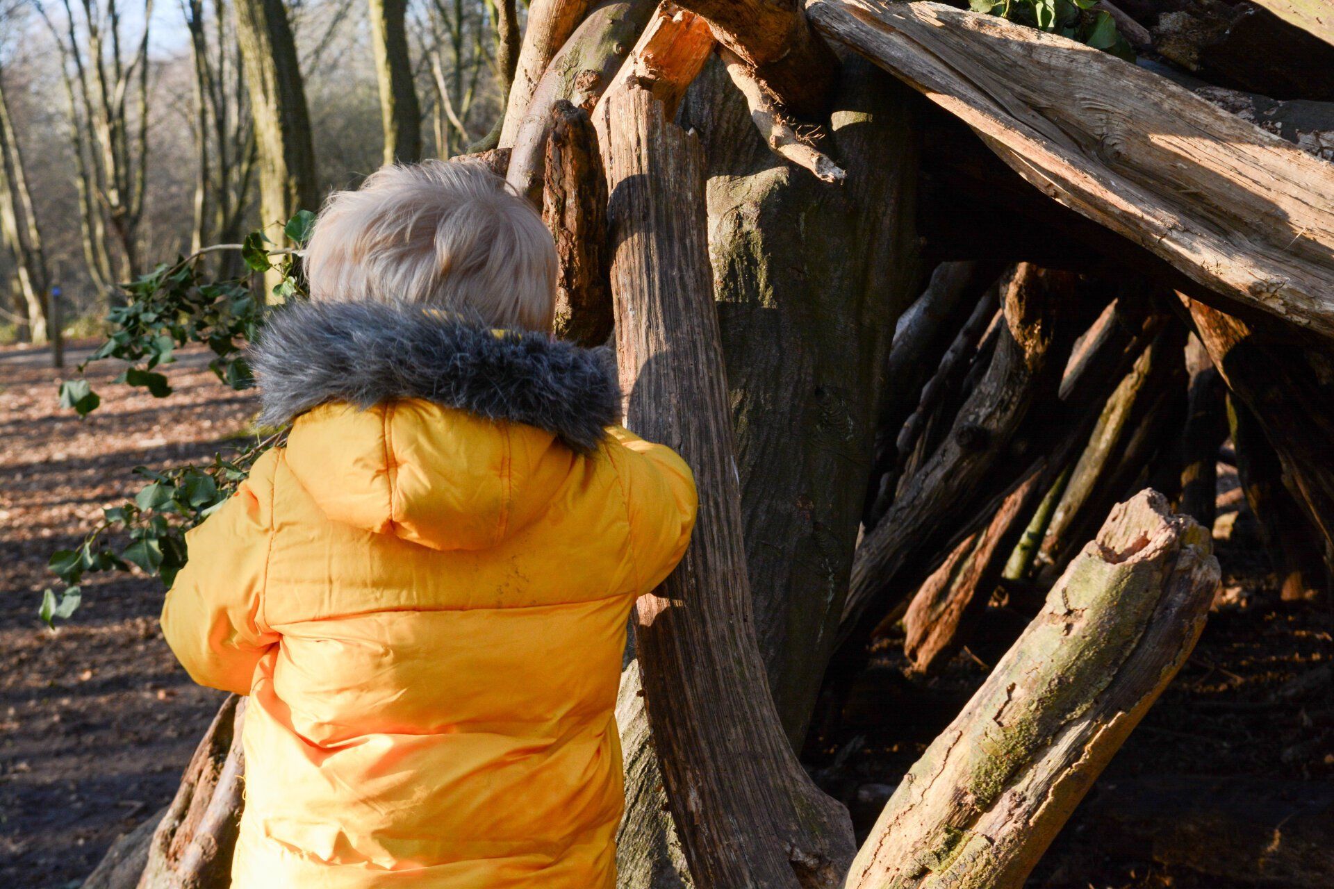 home-building-blocks-nurseries-in-wimbledon-and-teddington