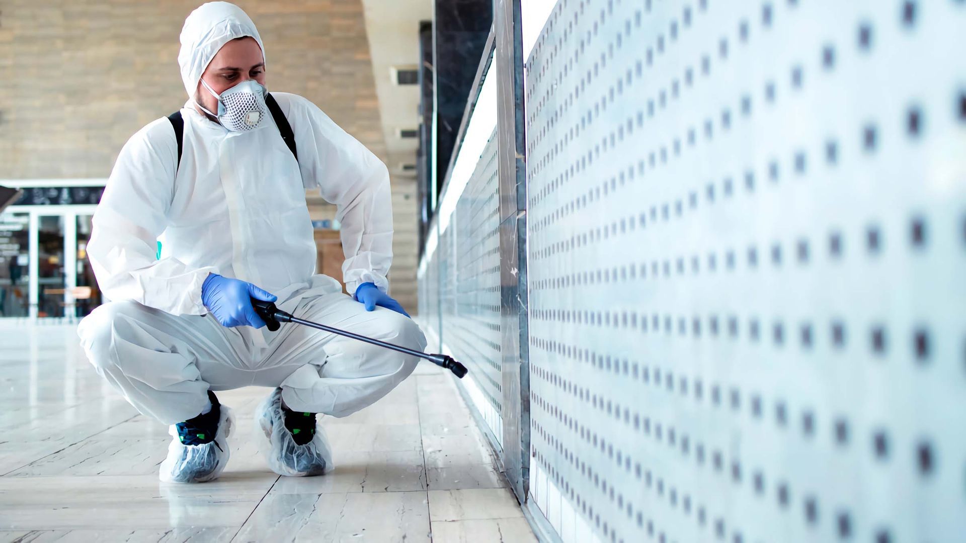 Dedetização em Geral