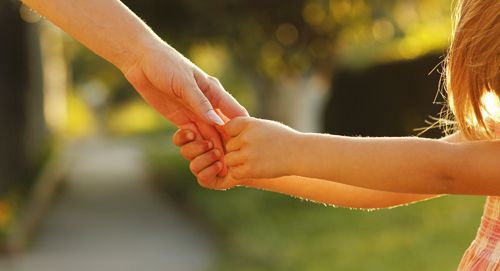 Professional family services for child custody in Elko, NV