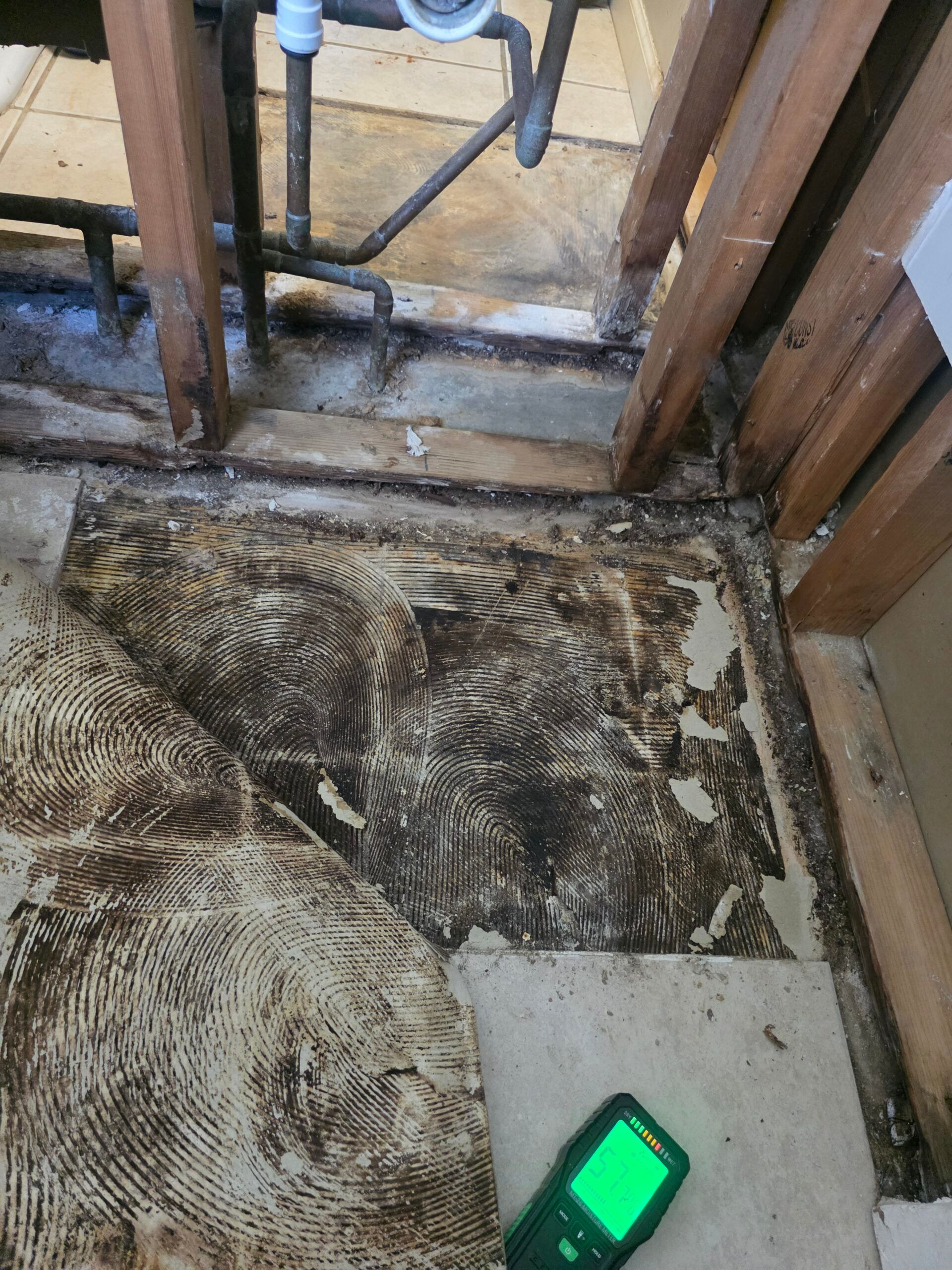 Moldy bathroom floor with damaged linoleum and exposed framing; a moisture meter is in view.