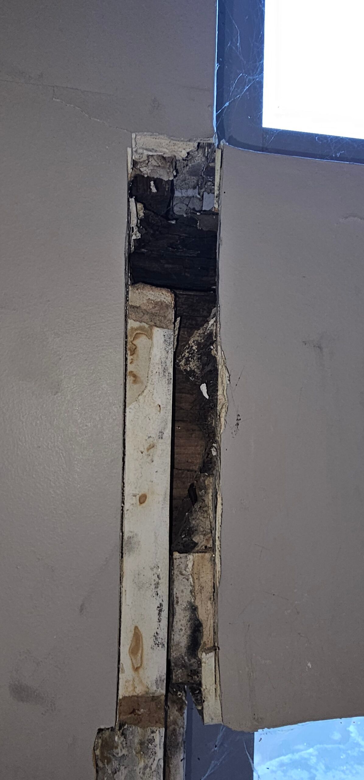 A damaged wooden window frame with visible rot and mold, adjacent to a light gray wall.