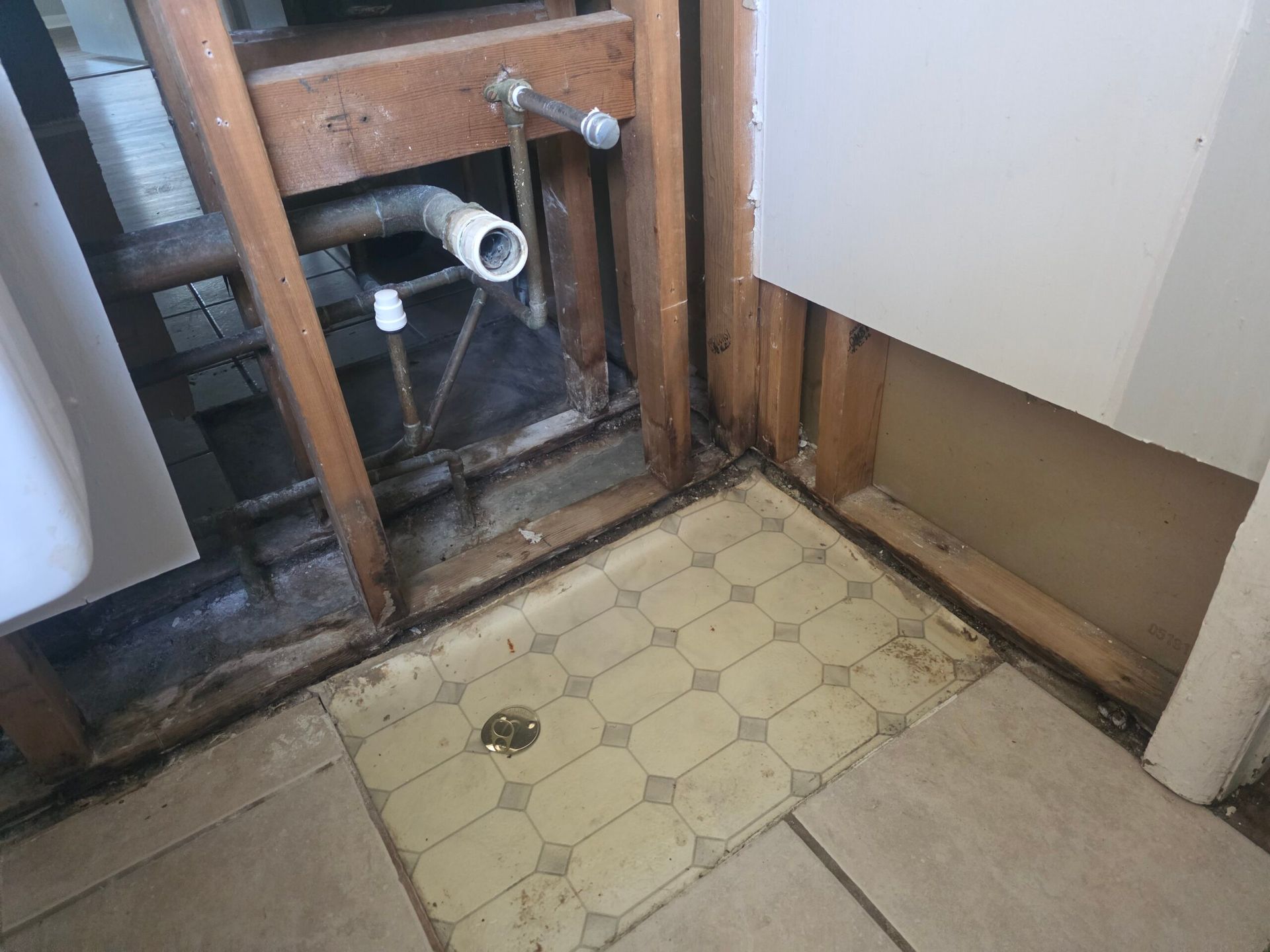 Bathroom remodel: Exposed wall studs, plumbing, and mildewed floor tiles.