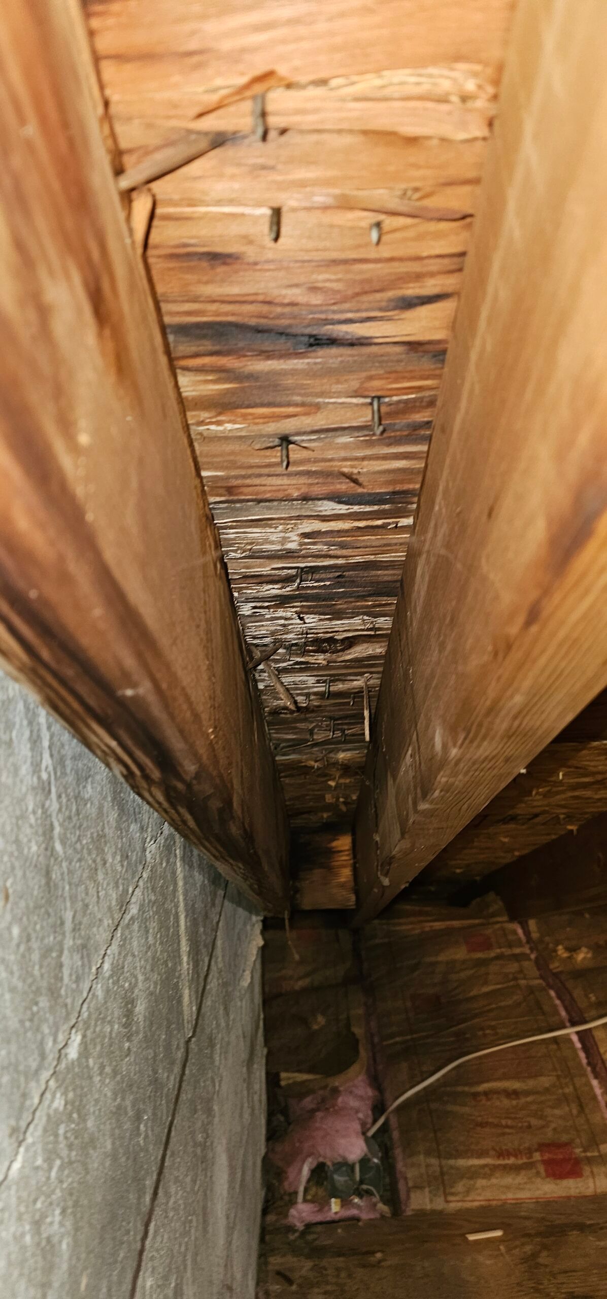 Moldy wood ceiling with visible beams and concrete wall.